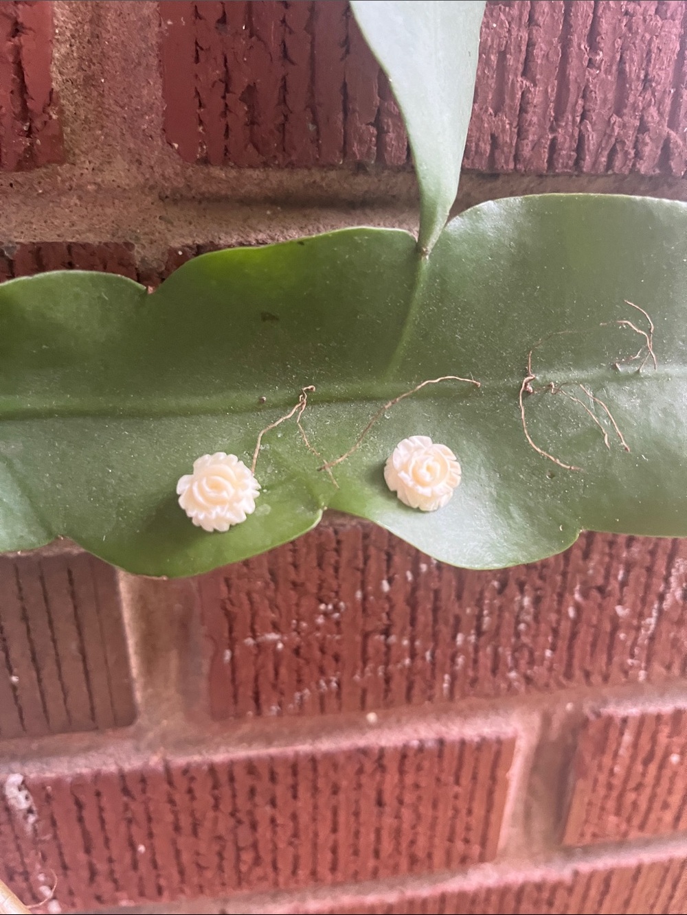 Vintage carved ivory post earrings